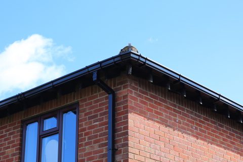uPVC Guttering in Lower Peover, WA16